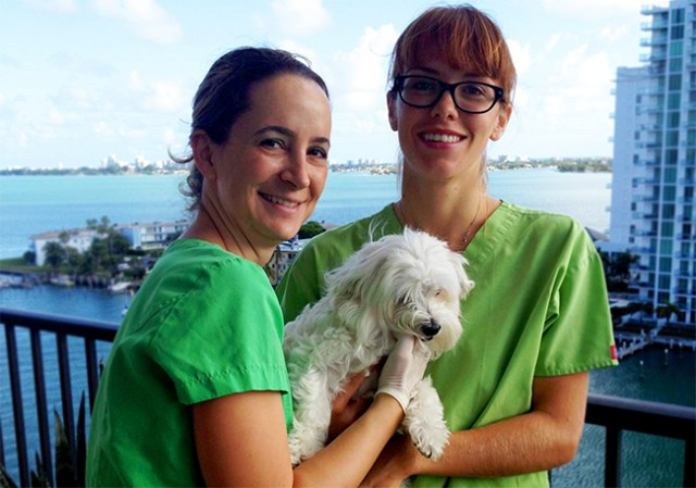 miami_pet_dental_practitioners