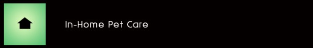 miami_in_home_pet_service