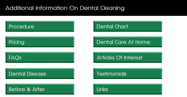 miami_pet_dental_care