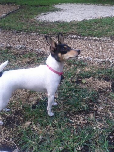 IMG_20130108_142738.jpg image