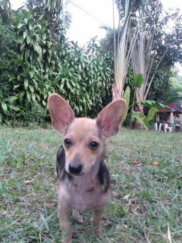 IMG_20130108_152501.jpg image