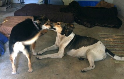 IMG_20130115_080811.jpg image