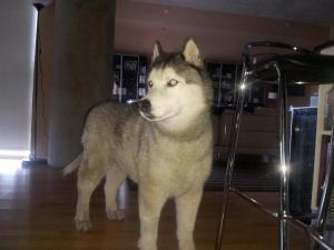 803470_10103092429857594_1626473854_n