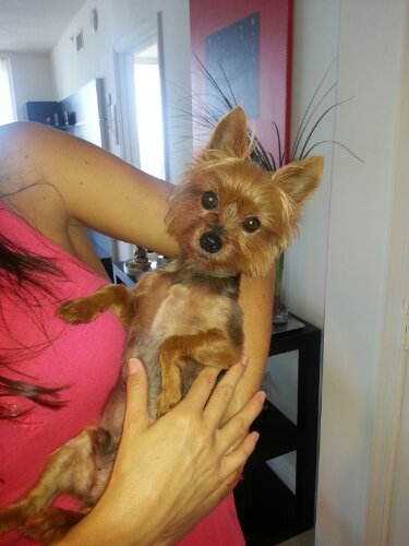 20130914_141618.jpg image