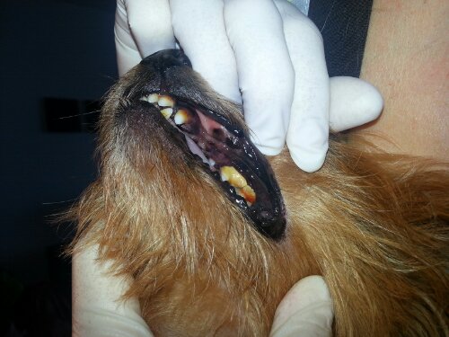 20130914_141924.jpg image