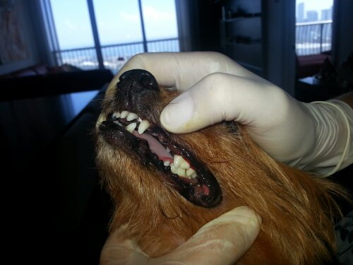 20130914_150609.jpg image