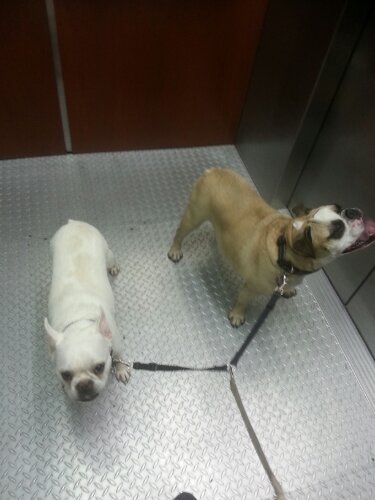 20130923_130956.jpg image