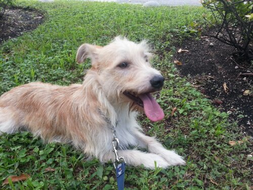 20130928_152857.jpg image